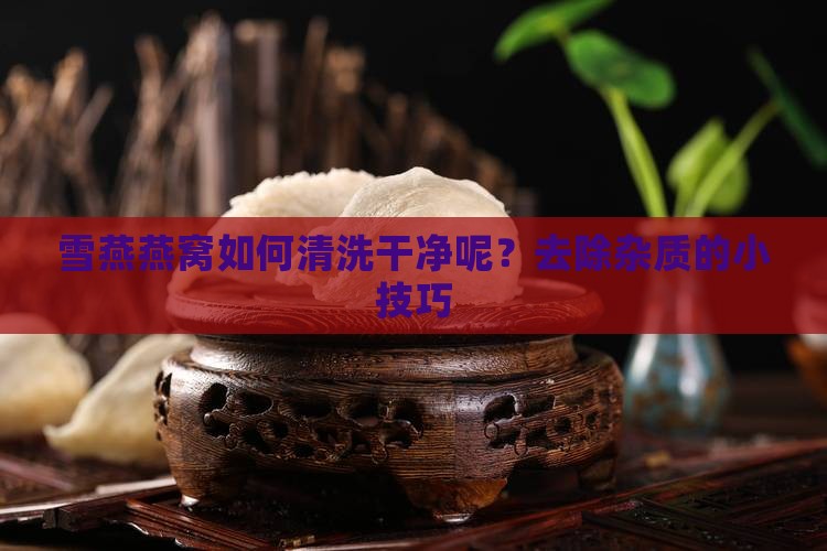 雪燕燕窝如何清洗干净呢