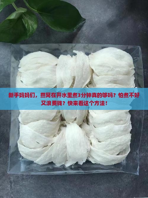 燕窝在开水中煮多久合适