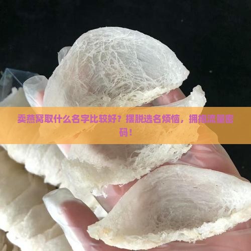 卖燕窝取什么名字比较