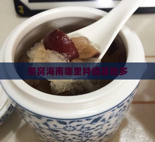 燕窝果海南哪里种植的多