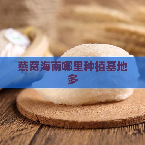 燕窝果海南哪里种植的多