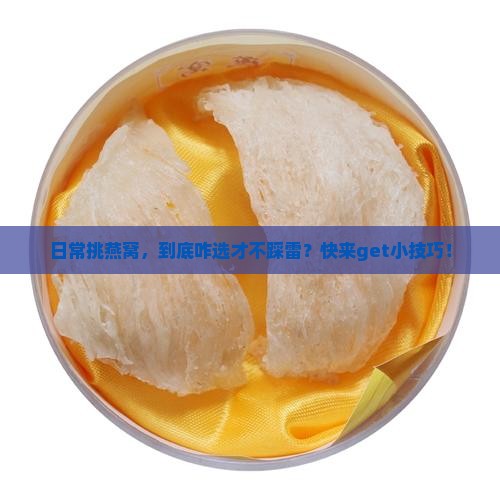 日常燕窝怎么挑选好坏
