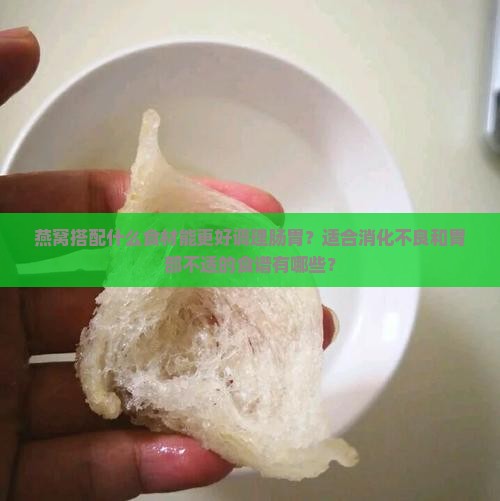 燕窝炖什么对肠胃有好处