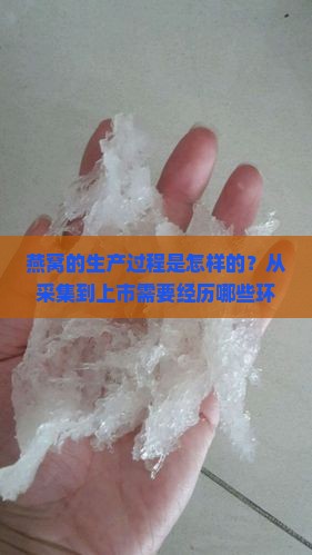 燕窝是怎么生产上市的呢