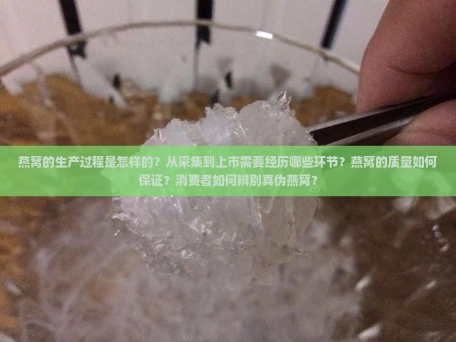 燕窝是怎么生产上市的呢