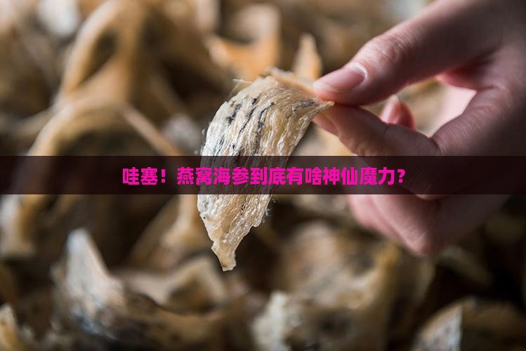 燕窝海参的价值是什么
