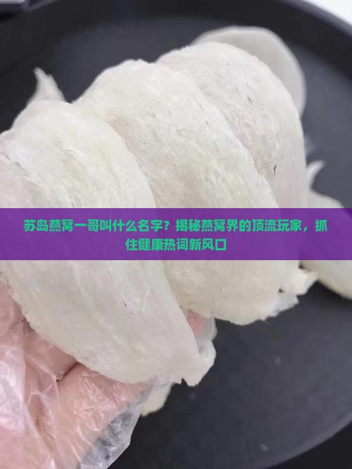 苏岛燕窝一哥叫什么名