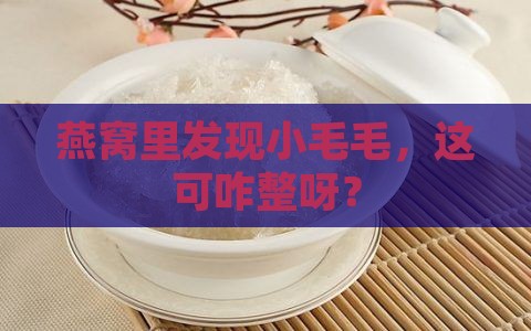 燕窝里有毛怎么弄掉呢