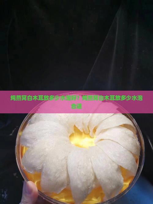 炖燕窝白木耳放多少水泡
