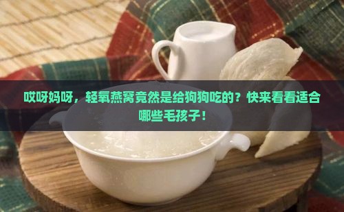 轻氧燕窝什么狗狗品种