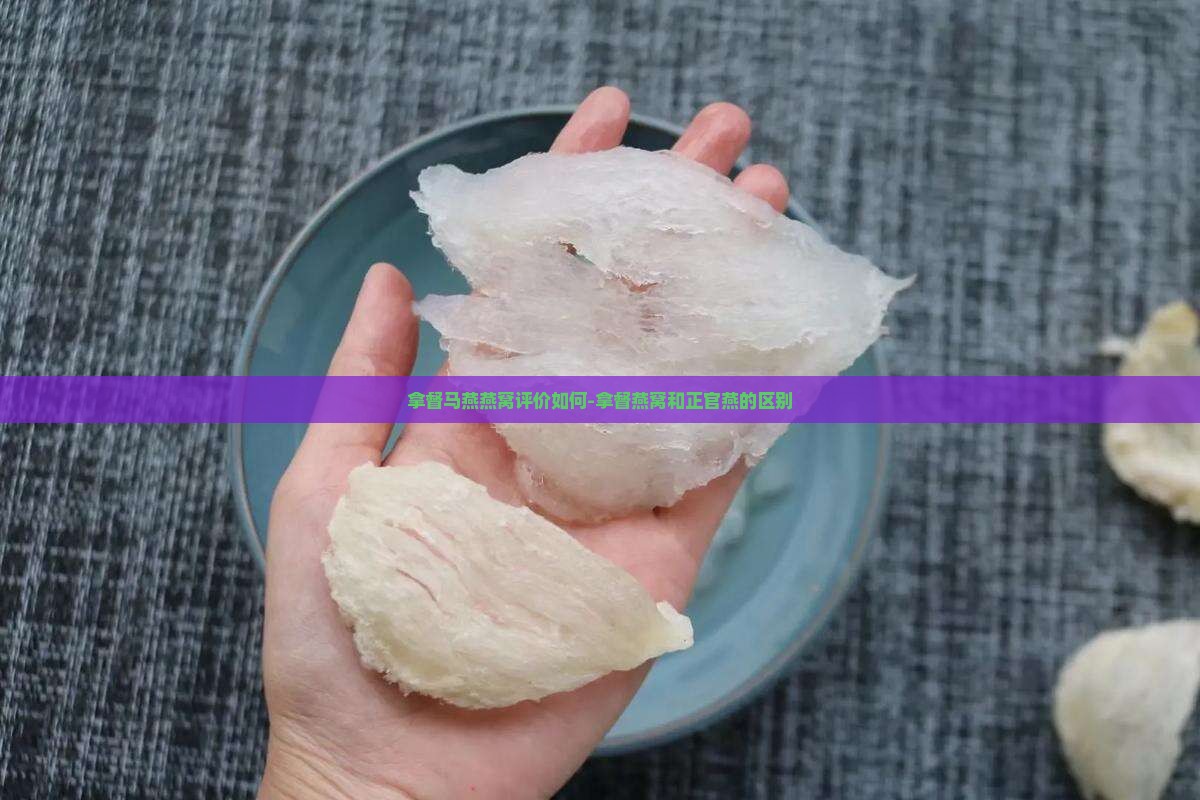 拿督马燕燕窝评价如何