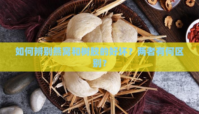 燕窝树胶怎么辨别好坏