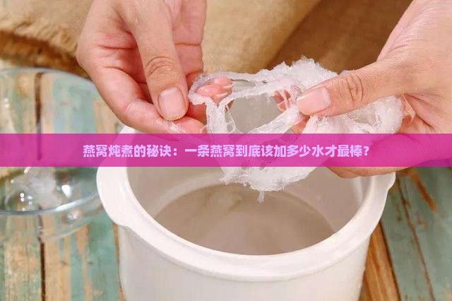 燕窝一条放多少水炖好