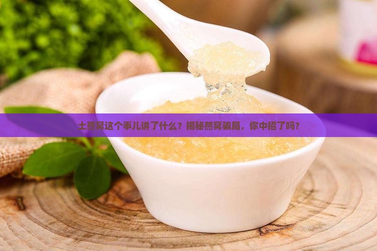 土燕窝这个事儿讲了什么