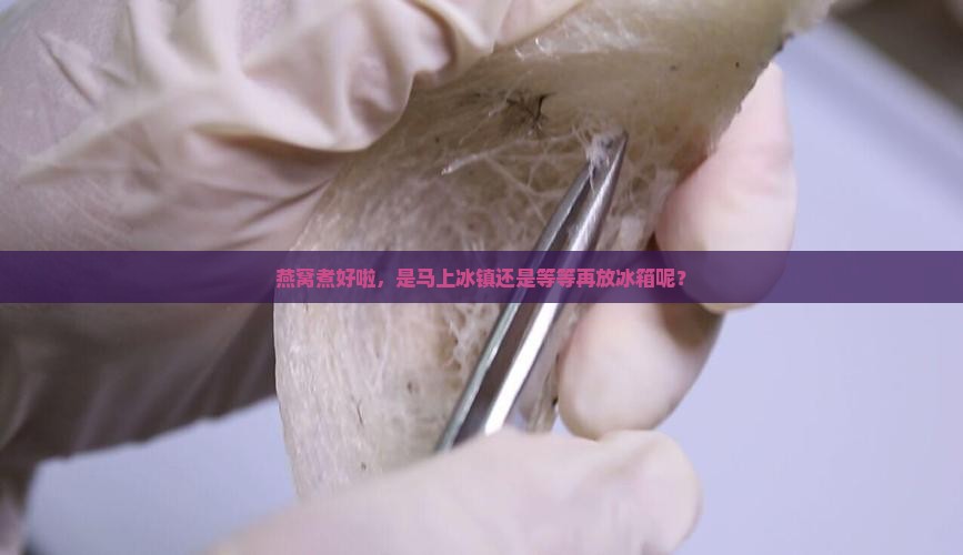 燕窝煮好多久放到冰箱里