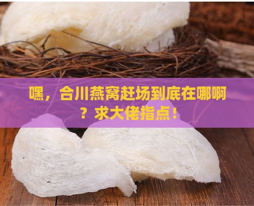 合川区燕窝赶场在哪里