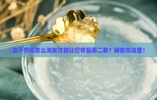 血干燕窝怎么泡发最好呢