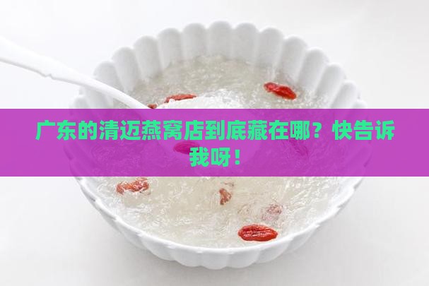 广东清迈燕窝店铺在哪里