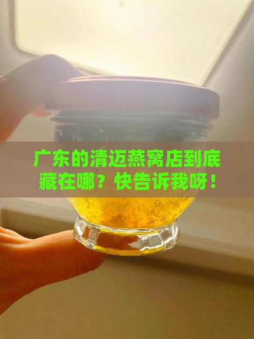 广东清迈燕窝店铺在哪里