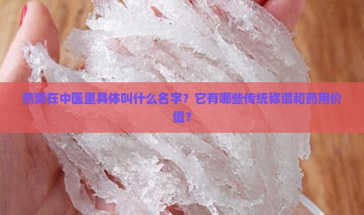 燕窝的中医名称叫什么呢