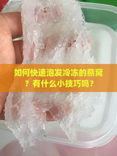 冷冻的燕窝怎么泡发快呢