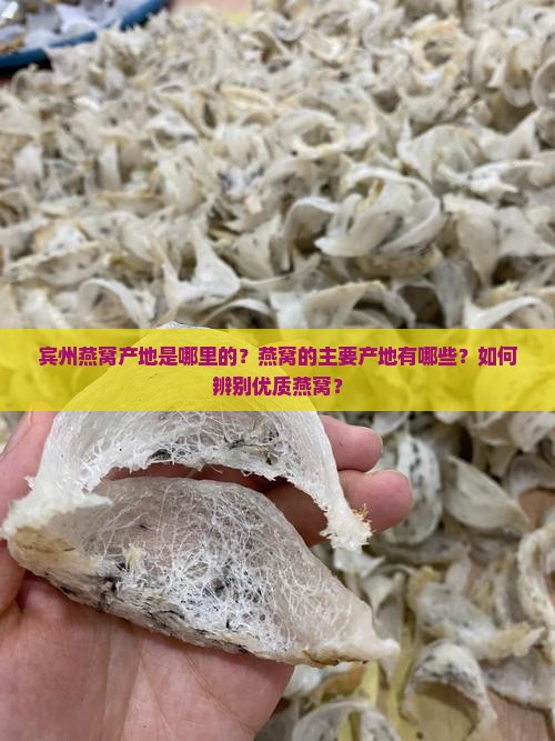 宾州燕窝产地是哪里的