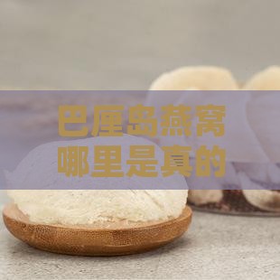 巴厘岛哪里燕窝是真的