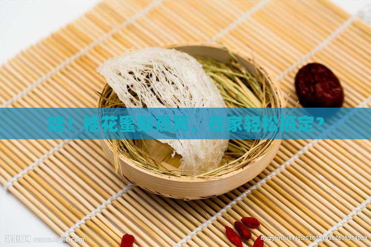 桂花蜜梨酿燕窝怎么做