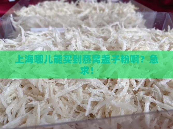 上海哪里有卖燕窝盏子粉