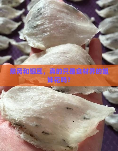 燕窝跟银耳有什么区别