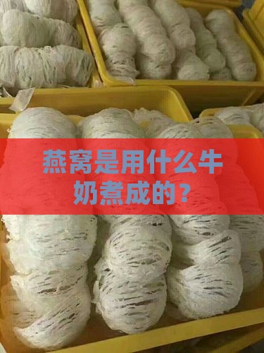 燕窝是用什么牛奶煮成的