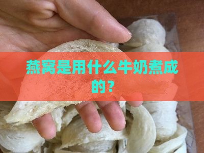 燕窝是用什么牛奶煮成的