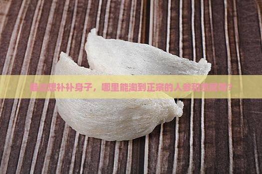 最近哪里能买人参燕窝
