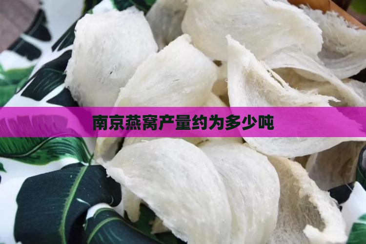 南京燕窝产量多少吨左右