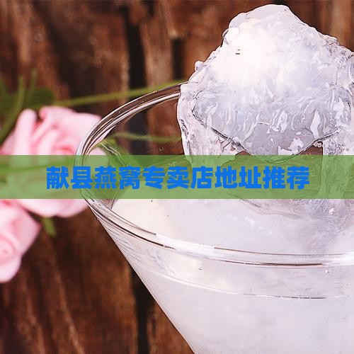 献县哪里有燕窝店子卖呀