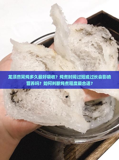龙须燕窝炖多久最好吸收