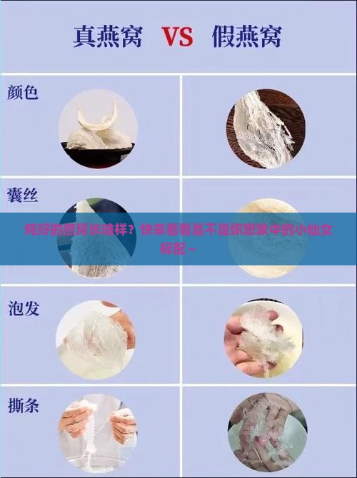 炖好的燕窝什么样子的