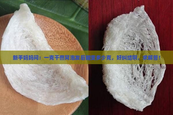 一克干燕窝能泡发多少