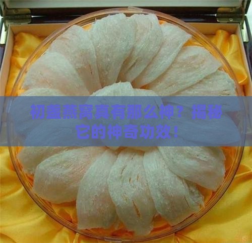 正宗初盏燕窝有什么作用