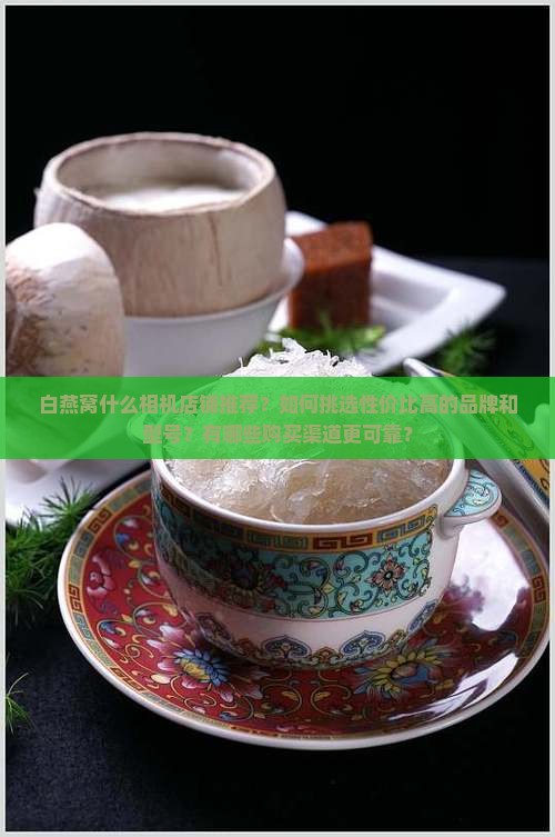白燕窝什么相机店铺推荐