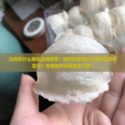 白燕窝什么相机店铺推荐
