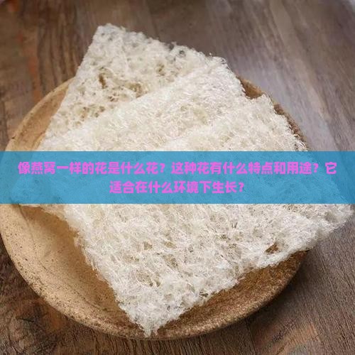 像燕窝一样的花是什么花