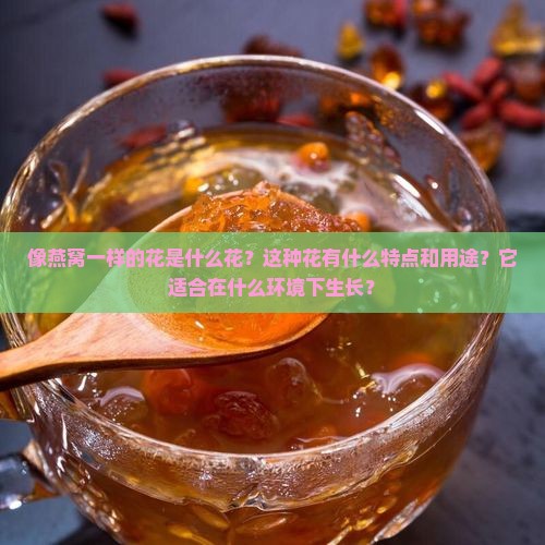 像燕窝一样的花是什么花