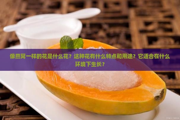 像燕窝一样的花是什么花