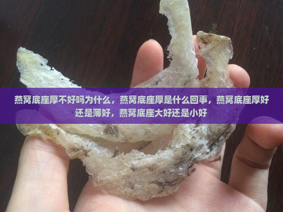 燕窝底座厚不好吗为什么