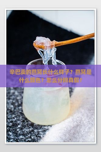 辛巴卖的燕窝长什么样子