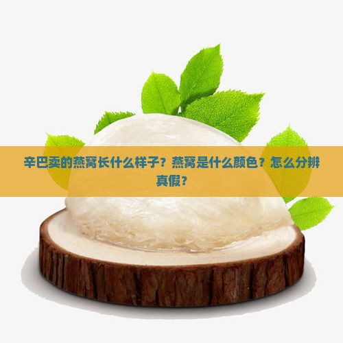 辛巴卖的燕窝长什么样子