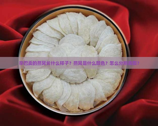 辛巴卖的燕窝长什么样子