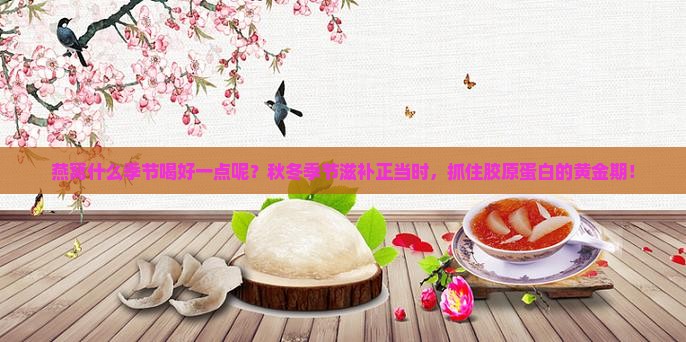 燕窝什么季节喝好一点呢
