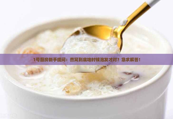 燕窝一般什么时间泡发